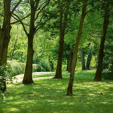 Residenze Bellaria Park 