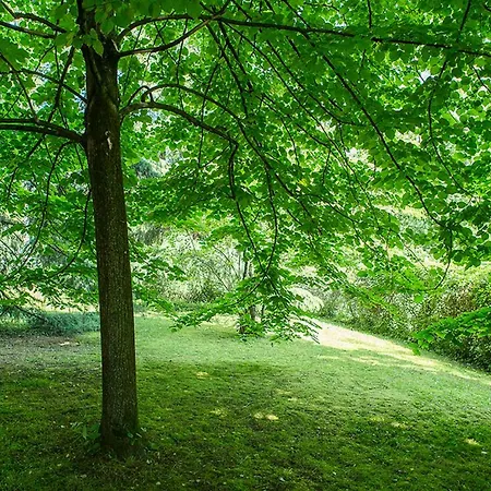 Residenze Bellaria Park 