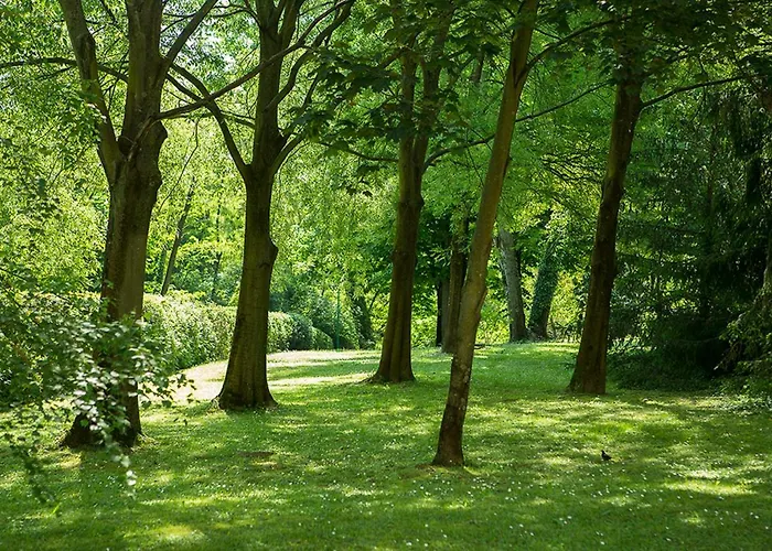 Residenze Bellaria Park 