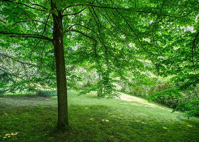 Residenze Bellaria Park 